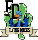 Flying Ducks Ice hockey club 